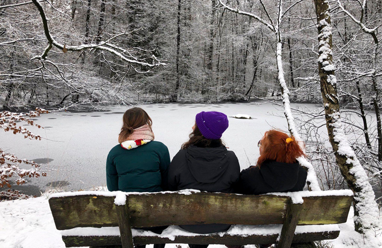 Ausflug, Bank in verschneitem Park